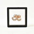 Pearl Beaded Hoop Earrings in Elegant Display Case NVR-0021