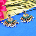Peacock Design Earrings NVR-0037