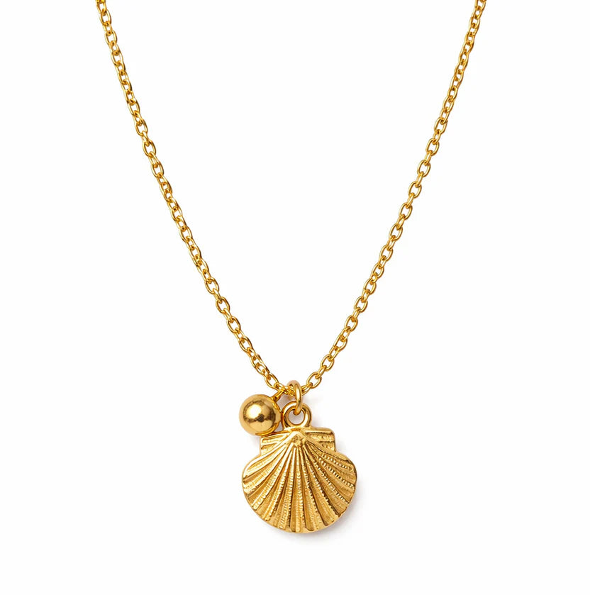Serene Tides Seashell Necklace NVR-0477